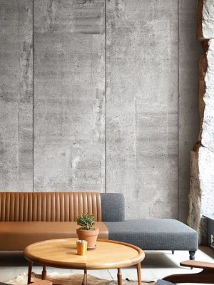 Concrete Stone Normal Veneer 4